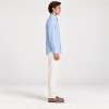 Borrelli 4603